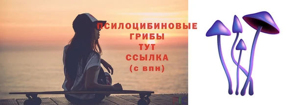 соль курить ск Алзамай